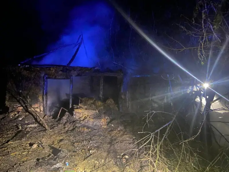 На Полтавщині уламки ворожого дрона спричинили пожежу та пошкодили будинок
