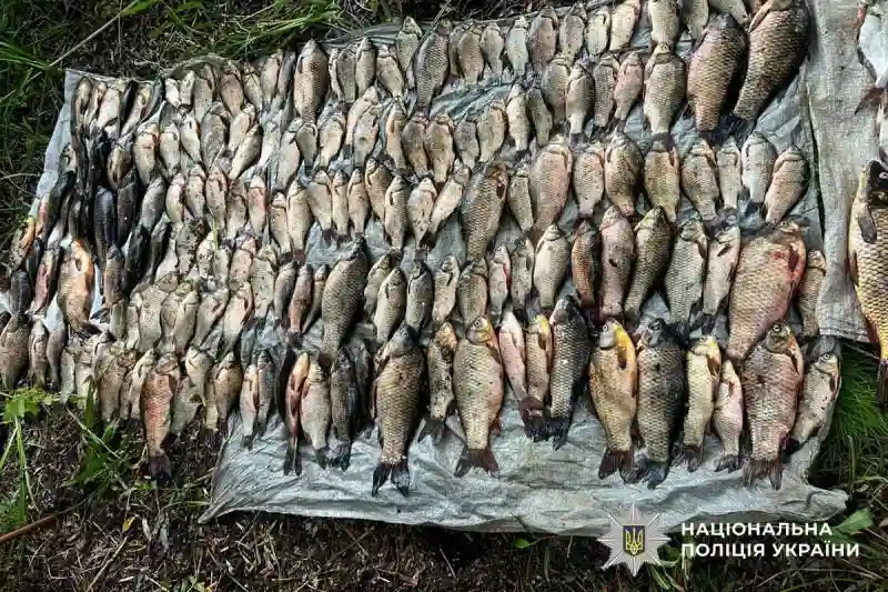 На Полтавщині викрили браконьєра, який завдав державі збитків на сотні тисяч гривень
